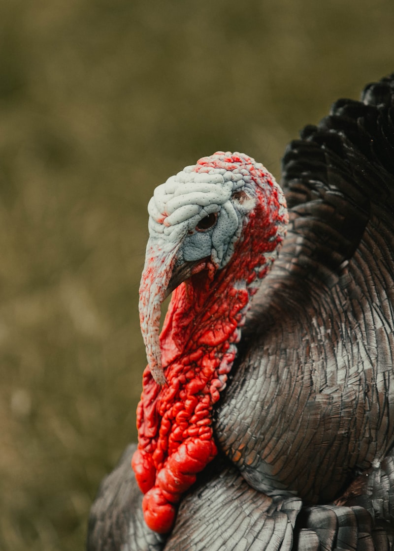 Erkeklerde kas kütlesi nasıl korunur ve artırılır?